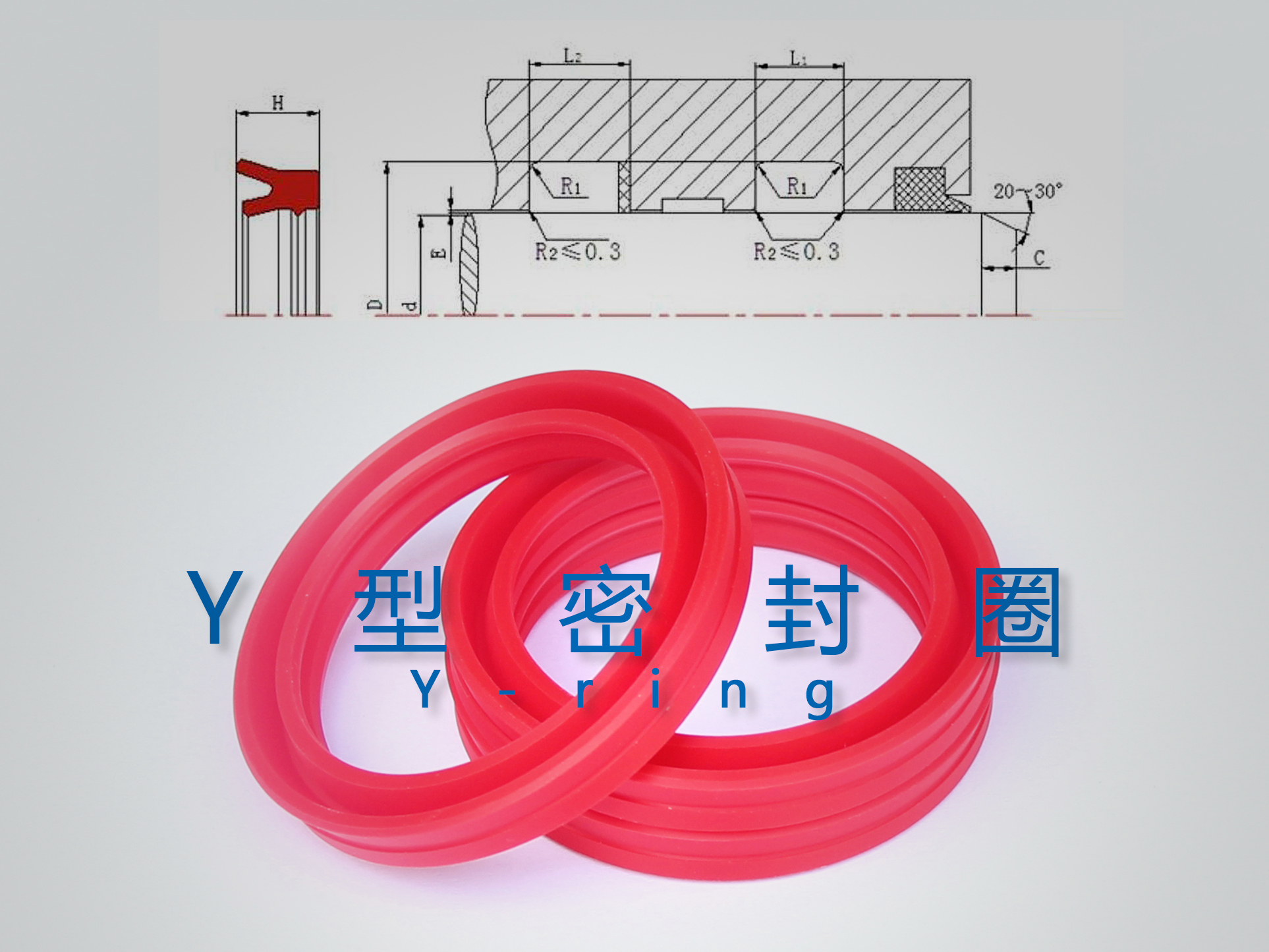 Y型密封圈（密封件、油封）與截面結(jié)構(gòu)產(chǎn)品圖