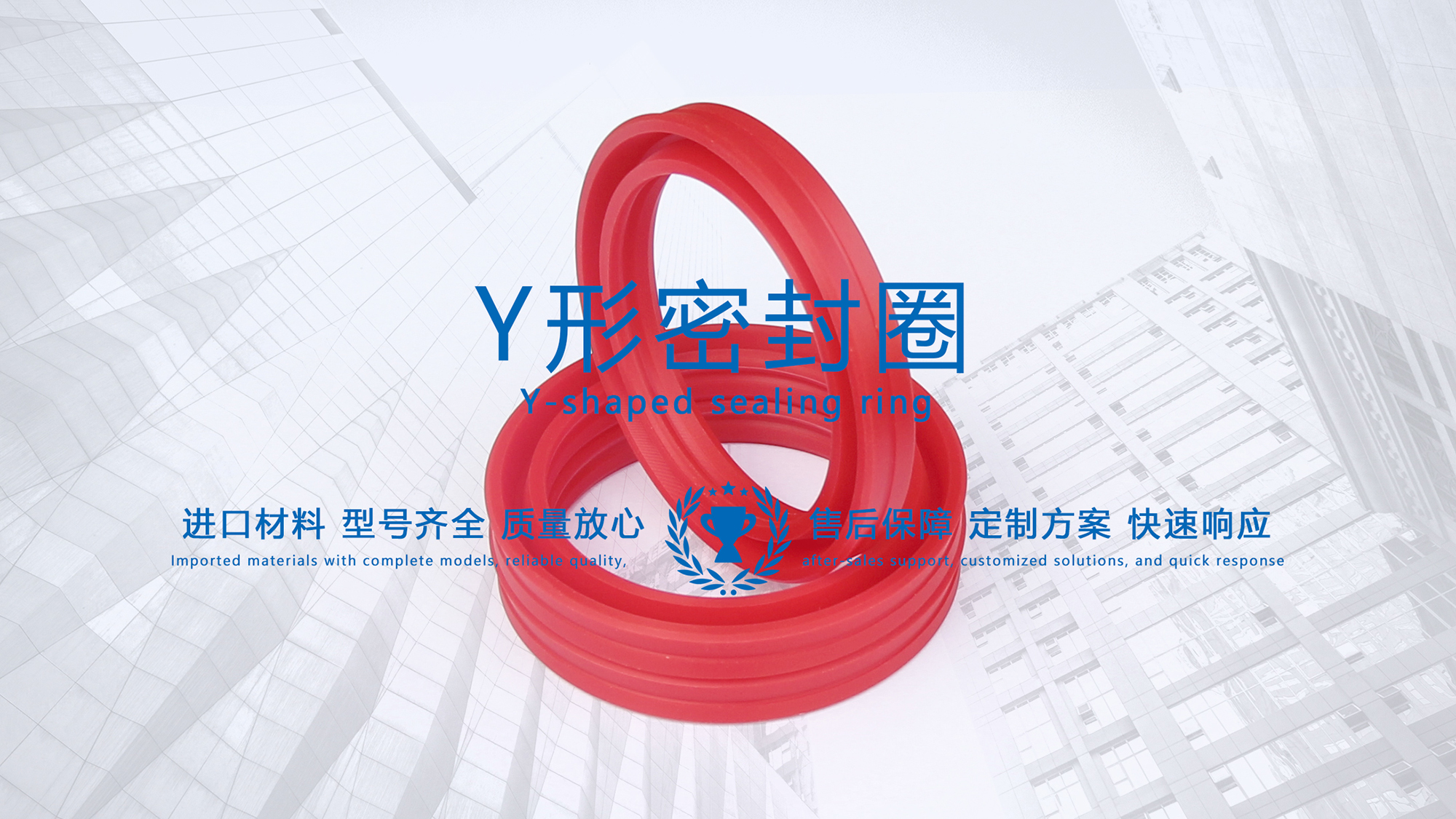 y型密封圈（又Y形密封圈，Y形圈，Y型圖或唇形密封圈，密封件油封膜片） (3)